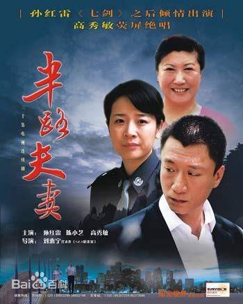 半路夫妻