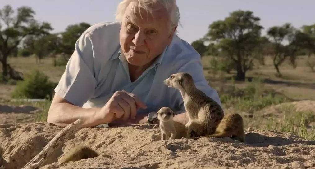 《生命故事》时已经80多岁了,依旧亲自辗转全世界,完成这部影片