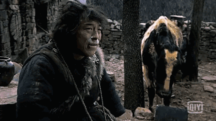 斗牛:黄渤与一头奶牛的故事