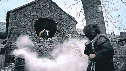 斗牛:黄渤与一头奶牛的故事