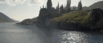 《神奇动物:格林德沃之罪》  fantastic beasts: the crimes of